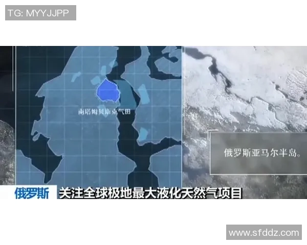 CSGO热议LNG团队协作引发的争议与反思分析