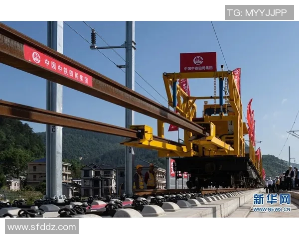 揭秘杨丽成功之道探寻英雄联盟背后的秘密与策略实时数据